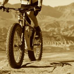 Cannondale lefty fat hot sale bike